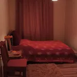 فيلة 
