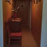 فيلة 